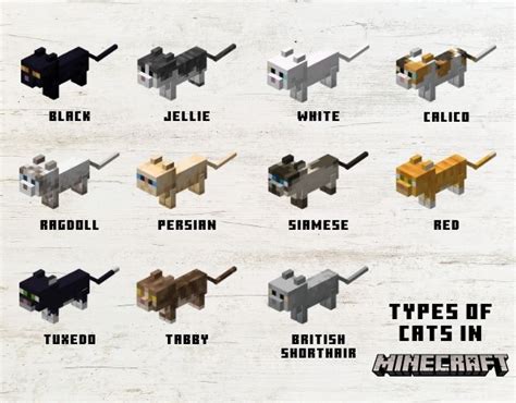 Minecraft Cat Breeding Chart – NBKomputer