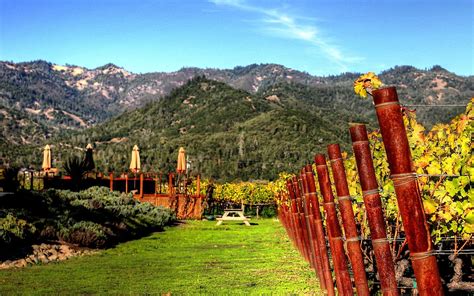 Calistoga Wine Tours - All You Need to Know BEFORE You Go (2024)