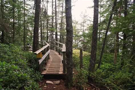 Lighthouse Park hike near West Vancouver | Vancouver Trails