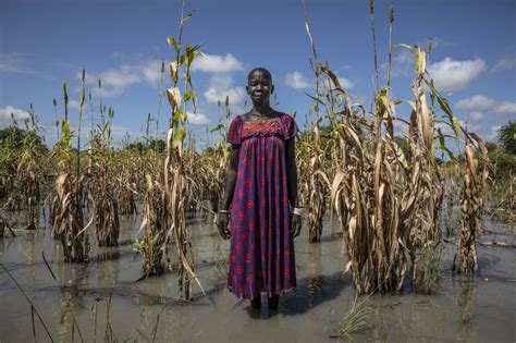 South Sudan: Conflict and climate crisis drives rising hunger | UN News