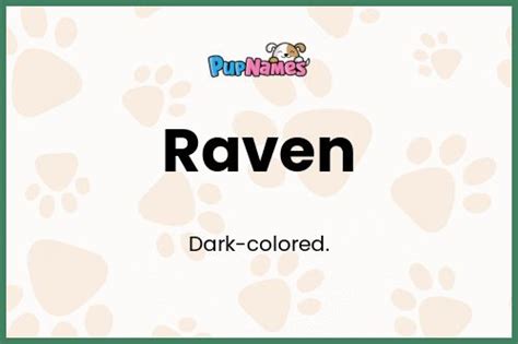 Raven 🐶 - Dog Name Meaning & Popularity | PupNames.com™