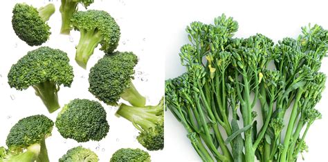 What's the Difference Between Broccoli and Broccolini? | MyRecipes