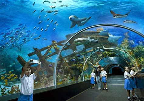 Ritebook: SEA Aquarium, The World's Largest Aquarium | Sentosa, Singapore