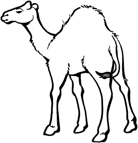 Free Camel Clipart Black And White, Download Free Camel Clipart Black ...