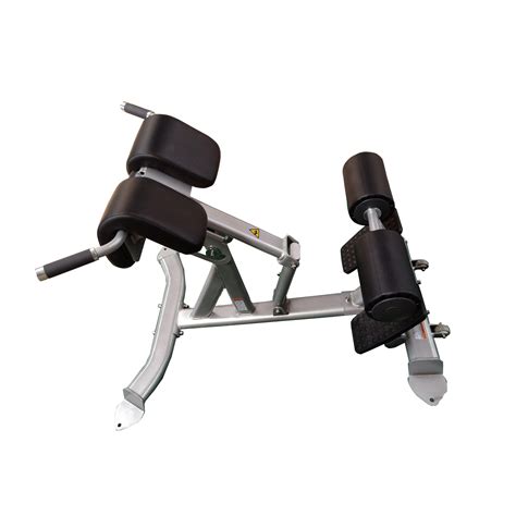 Flow Fitness 45 Degree Angle Back Extension - WC Gym Equipment