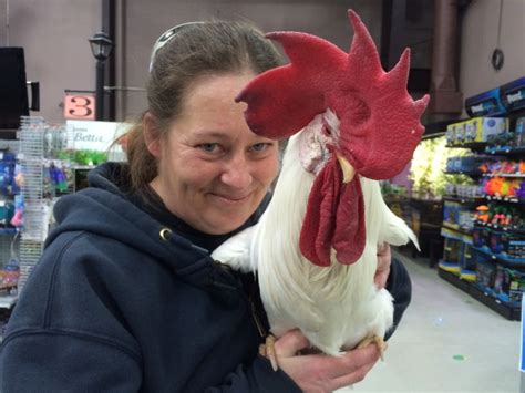 Calgary pet store celebrates Year of the Rooster - Calgary | Globalnews.ca