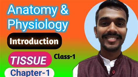 Anatomy and physiology chapter 1 introduction | tissues | type of ...