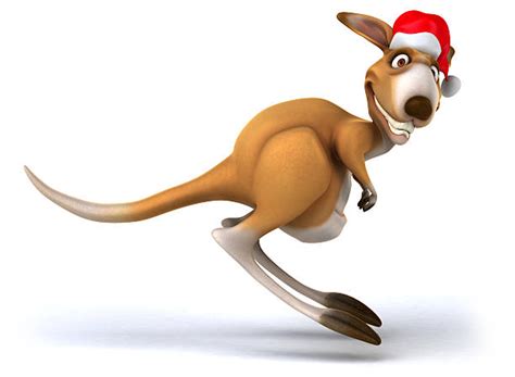 Christmas Kangaroo Stock Photos, Pictures & Royalty-Free Images - iStock