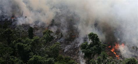 The Amazon’s on Fire and Global Warming Is Real - Cairo Gossip