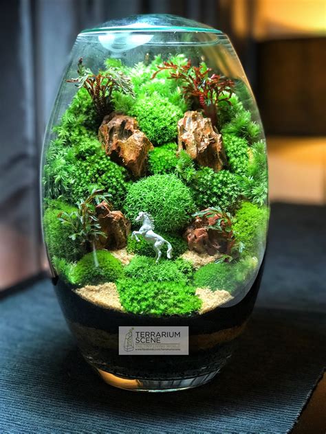 Modern & Unique Terrarium Ideas #glassterrariumideas #howtomakeaterrarium #terrariumreptile # ...