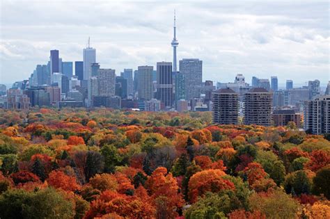 Fall Colours in Toronto: Top Foliage Spots for Your Instagram | Tourism Toronto | Visit toronto ...