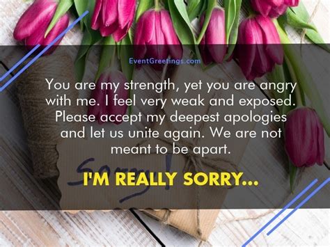 I Am Sorry Messages For Girlfriend - Apology Quotes