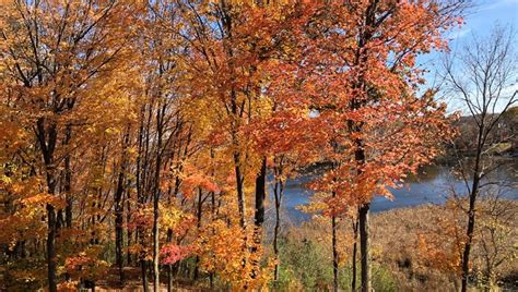 DNR: Most of Minnesota passes peak fall colors | FOX 9 Minneapolis-St. Paul