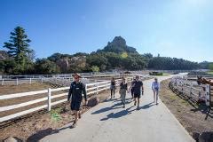 Malibu Wine Tours Reservations