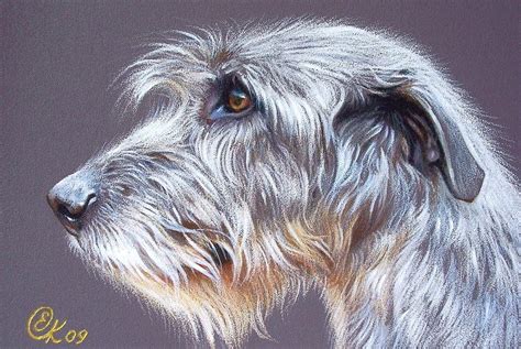 Irish Wolfhound 2 Drawing by Elena Kolotusha