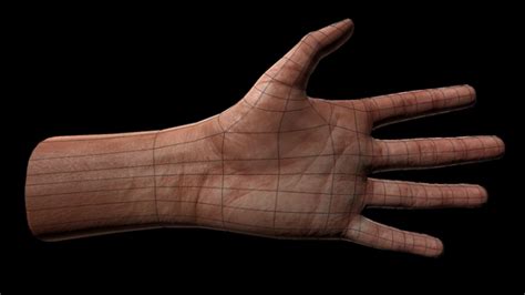 Rigged Hands Free 3D Model - .x3d .obj .fbx .dae .blend .3ds - Free3D