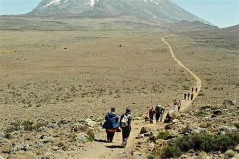 Kilimanjaro - Rongai Route - Absolute Adventure