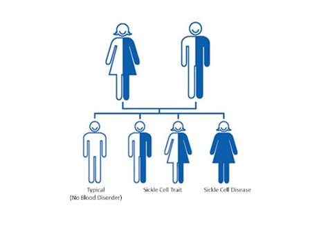 Is Sickle Cell Anemia Dominant or Recessive - BlackDoctor.org