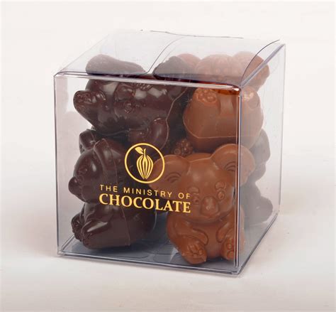 Koala Cube - Ministry Of Chocolate