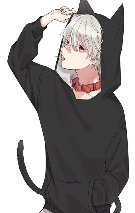 Anime Cat Boy posted by Michelle Walker, cute anime cat boy HD phone ...