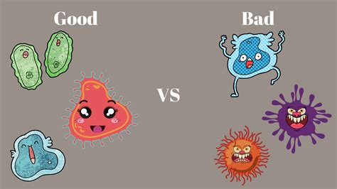 Fighting bad bacteria in the gut using protein microbeads