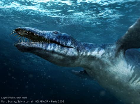 Liopleurodon Pictures & Facts - The Dinosaur Database