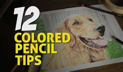 12 of my best tips for colored pencil drawing | Color pencil drawing ...