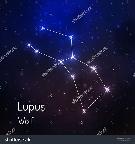 Constellation wolf clipart 20 free Cliparts | Download images on Clipground 2024