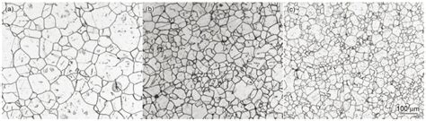 SSWRMD-Microstructure of austenitic stainless steel | Zoo Mesh Supplier-Hengyi