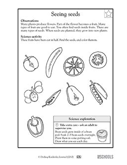 1st grade science Worksheets, word lists and activities. | GreatSchools