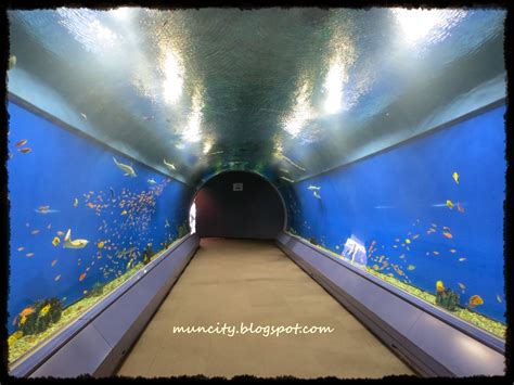 Lalalaland...: Osaka Aquarium Kaiyukan