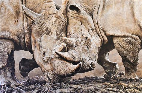 Alan M Hunt - British Wildlife Artist, Animal Paintings and Prints For Sale in 2021 | Wildlife ...