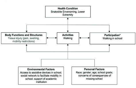 Case example application to International Classification of... | Download Scientific Diagram