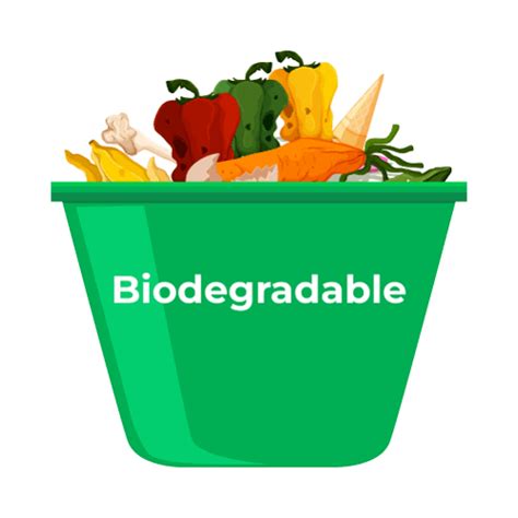 Biodegradable Definition - JavaTpoint