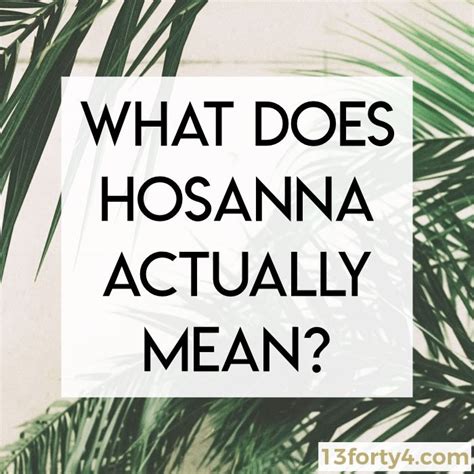 Hosanna In The Highest - 13forty4 | Christian Nonprofit | Palm sunday ...