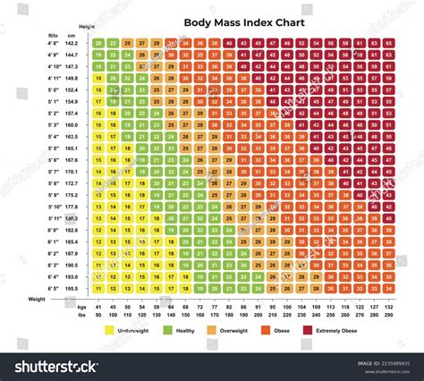 Weight Calculator For Women