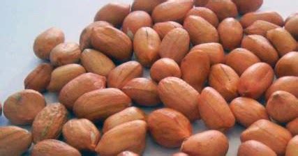 Manfaat Kacang Tanah Untuk Tubuh