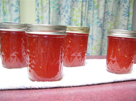 Watermelon Jelly – SBCanning.com – homemade canning recipes