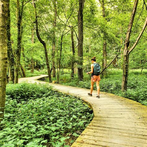 Great Hiking in Northern Virginia: Trails Worth the Trek - Aloha Lovely