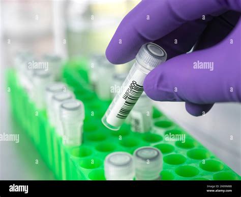 Dna sequencing autoradiogram hi-res stock photography and images - Alamy