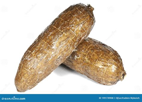 Cassava tubers stock photo. Image of manioc, recipe - 199178908