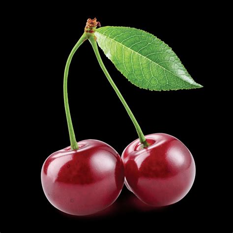 Cherry : The meaning and symbolism of the word - «Cherry» : With its range of successful car ...