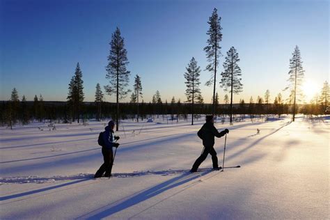 Ski Trekking Safari in Lapland | Wild About Lapland