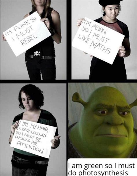 Best Shrek Memes The Internet Made Popular - AMJ