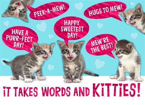 KITTENS! Funny Sweetest Day Card - Sweetest Day Greeting Cards - Hallmark