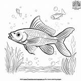Cute Small Fish Coloring Pages sketch template