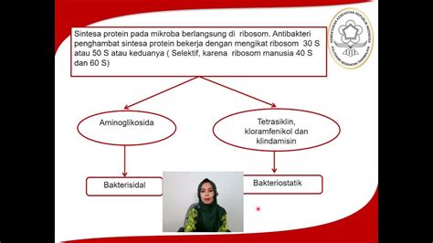 Antibiotik golongan beta laktam dan penghambat sintesa protein - YouTube