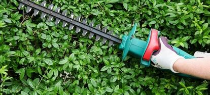 12 Hedge Trimmer Safety Tips | DoItYourself.com