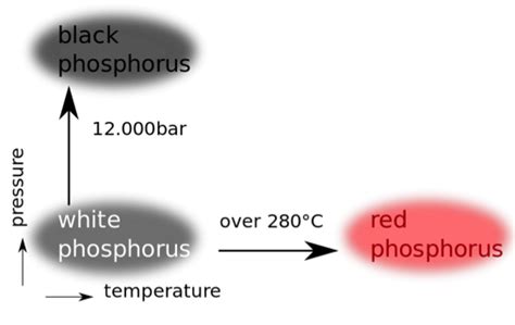 Allotropes of Phosphorus: Forms, Uses & Examples | Study.com