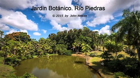 Jardín Botánico de Rio Piedras, San Juan, Puerto Rico - YouTube